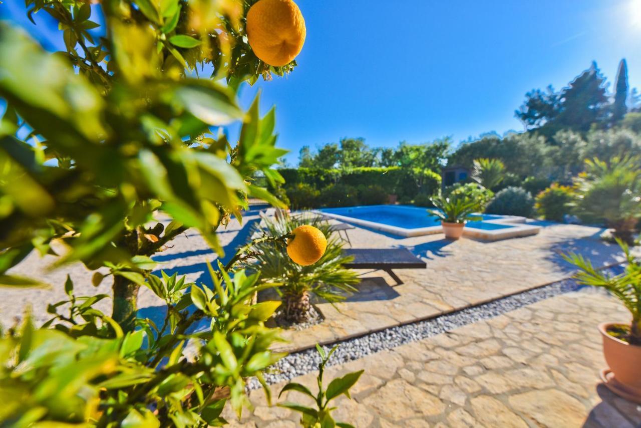 Holiday Home Taras Smilcic Екстериор снимка